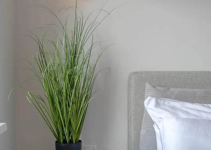 Daylight * Вестерланд